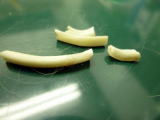 ハッピー動物病院へ来院した不正咬合のうさぎのカットした歯の写真